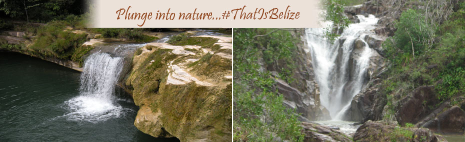 Plunge into the nature...that is Belize